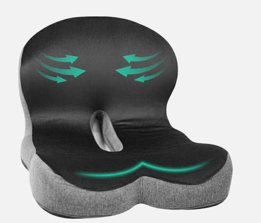 Posture Bundle
